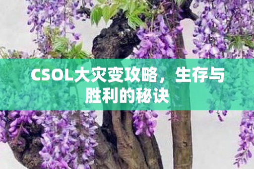 CSOL大灾变攻略图片