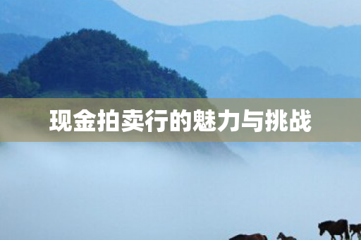 现金拍卖行的魅力与挑战图片