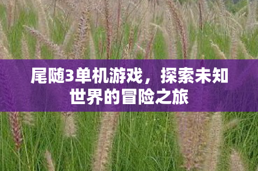探索未知世界的冒险之旅图片