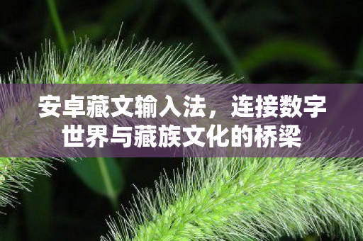 连接数字世界与藏族文化的桥梁图片