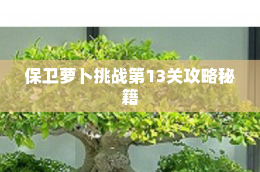 保卫萝卜挑战第13关攻略秘籍图片