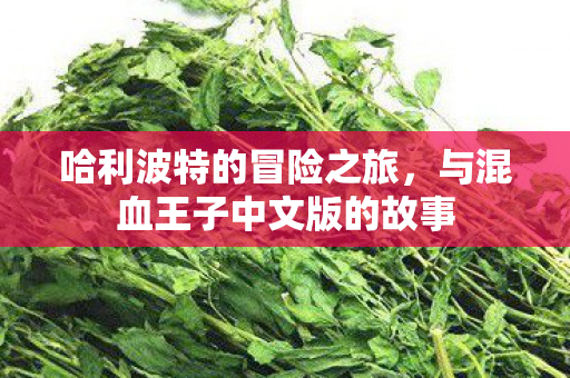 与混血王子中文版的故事图片