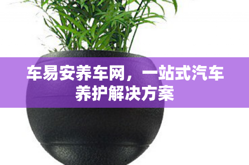 一站式汽车养护解决方案图片