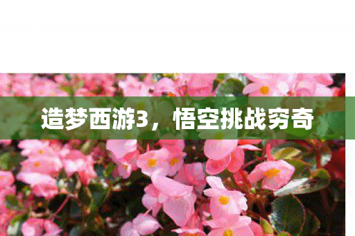 悟空挑战穷奇图片