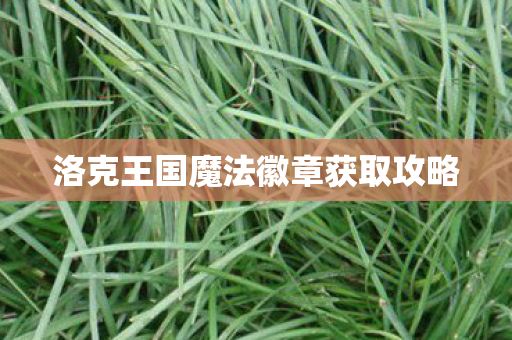 洛克王国魔法徽章获取攻略图片