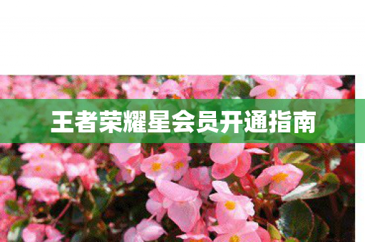 王者荣耀星会员开通指南图片