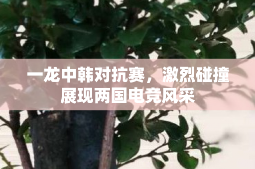 激烈碰撞展现两国电竞风采图片