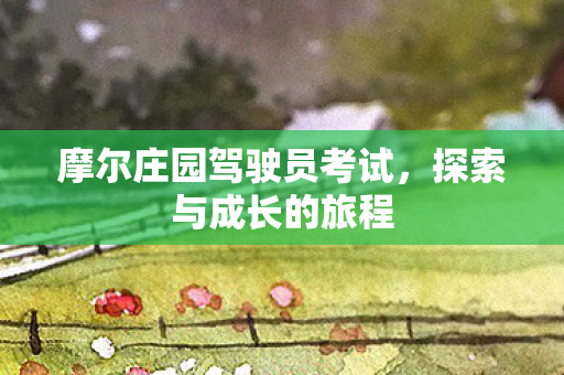 摩尔庄园驾驶员考试图片