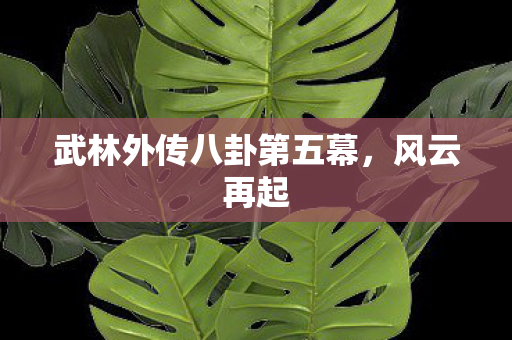 武林外传八卦第五幕图片