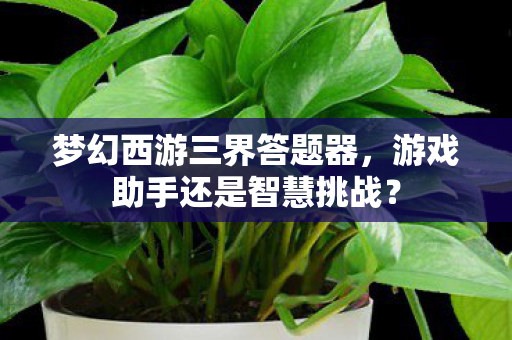 游戏助手还是智慧挑战图片