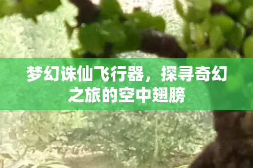 探寻奇幻之旅的空中翅膀图片