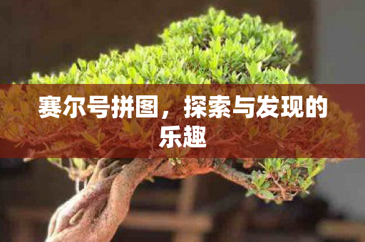 探索与发现的乐趣图片