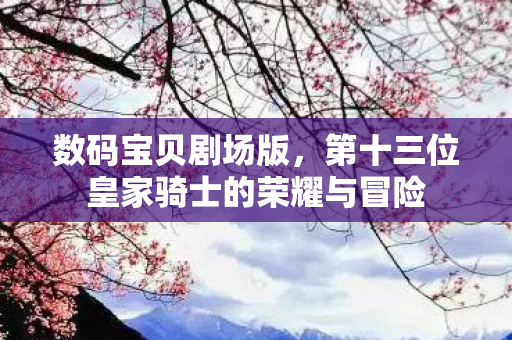 第十三位皇家骑士的荣耀与冒险图片