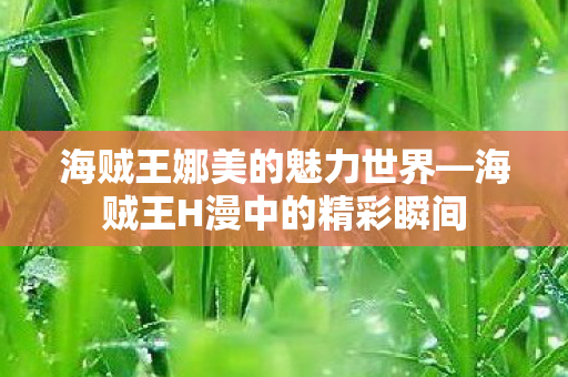 海贼王H漫中的精彩瞬间图片
