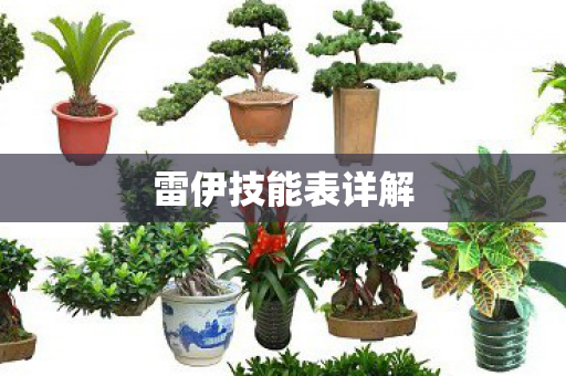 雷伊技能表详解图片
