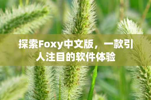 一款引人注目的软件体验图片