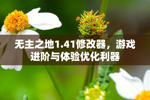 游戏进阶与体验优化利器图片