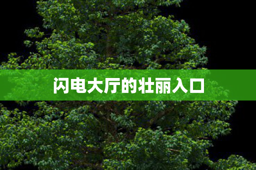 闪电大厅的壮丽入口图片