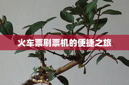 火车票刷票机的便捷之旅图片