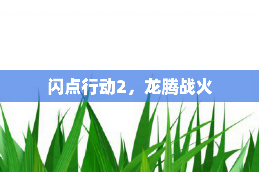 闪点行动2图片