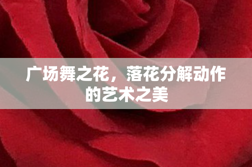 落花分解动作的艺术之美图片