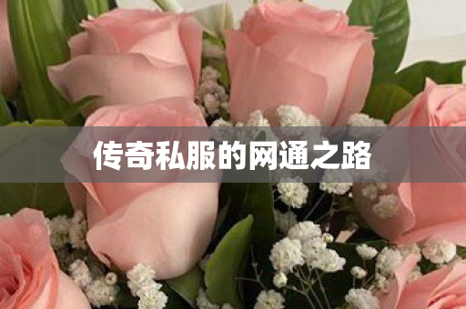 传奇私服的网通之路图片