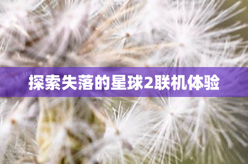 探索失落的星球2联机体验图片