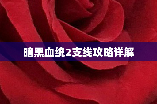 暗黑血统2支线攻略详解图片