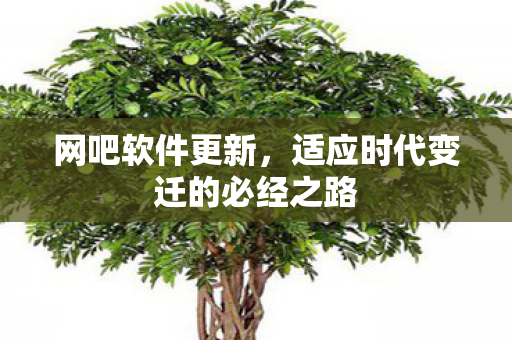 适应时代变迁的必经之路图片
