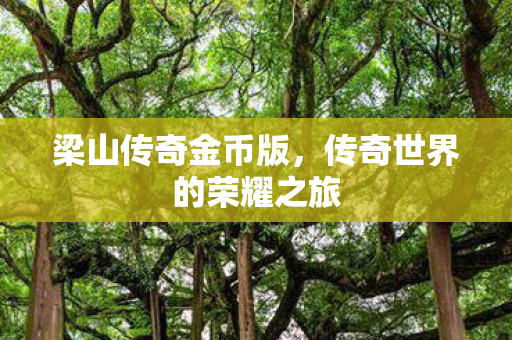 传奇世界的荣耀之旅图片