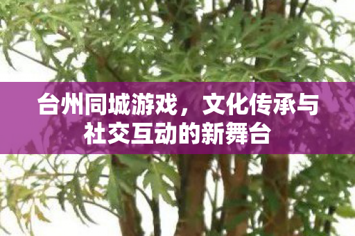 文化传承与社交互动的新舞台图片