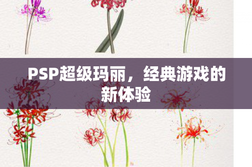 经典游戏的新体验图片