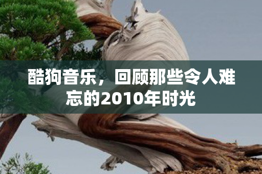 回顾那些令人难忘的2010年时光图片