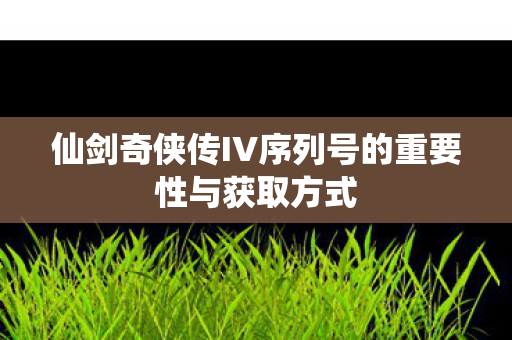 仙剑奇侠传IV序列号的重要性与获取方式图片
