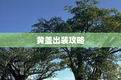 黄盖出装攻略图片