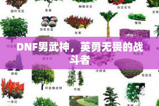英勇无畏的战斗者图片