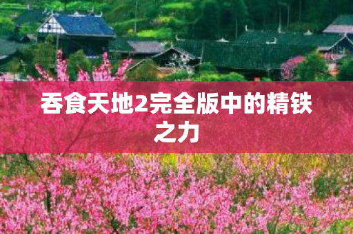 吞食天地2完全版中的精铁之力图片