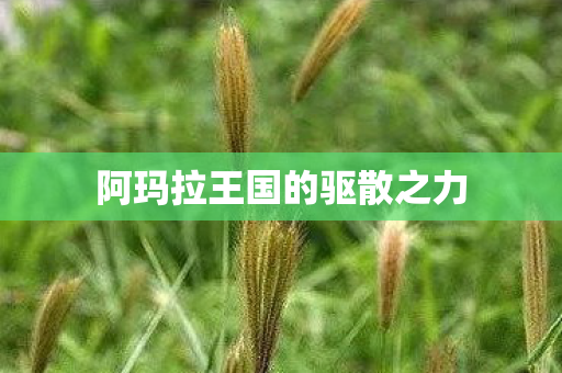 阿玛拉王国的驱散之力图片