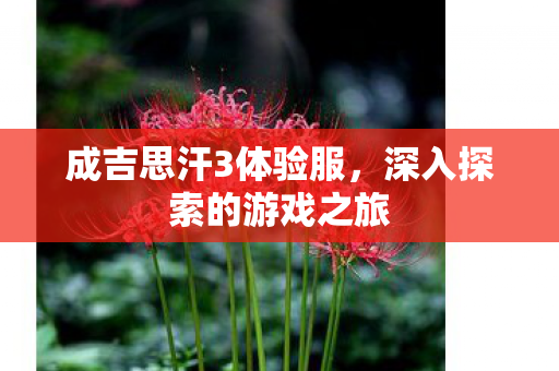 深入探索的游戏之旅图片