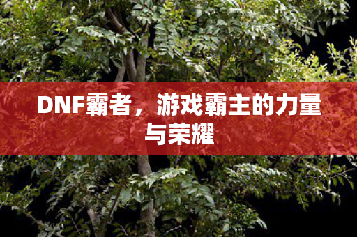 游戏霸主的力量与荣耀图片
