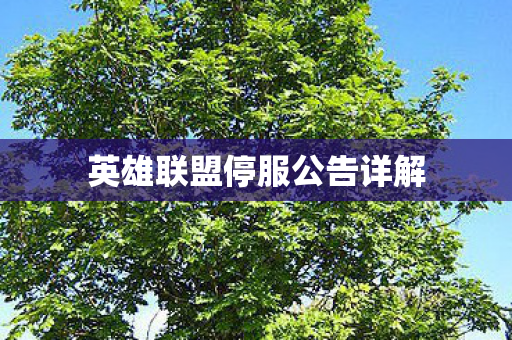 英雄联盟停服公告详解图片