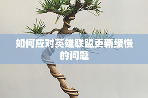 如何应对英雄联盟更新缓慢的问题图片