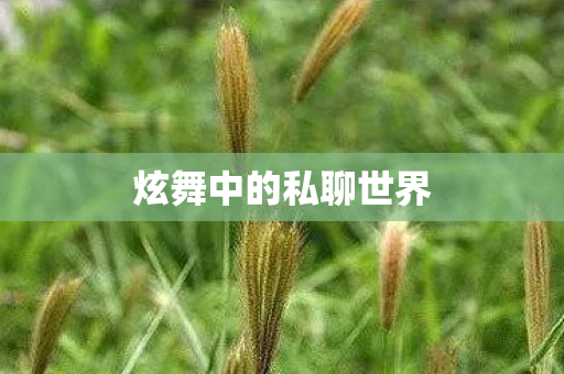 炫舞中的私聊世界图片