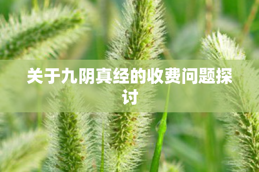 关于九阴真经的收费问题探讨图片
