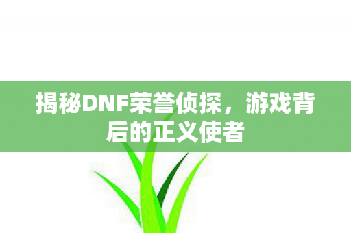 揭秘DNF荣誉侦探图片