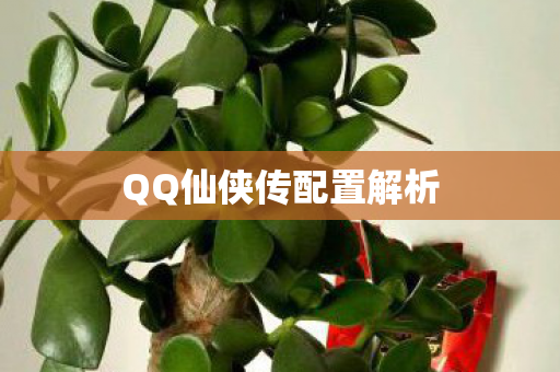 QQ仙侠传配置解析图片