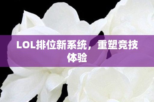 LOL排位新系统图片