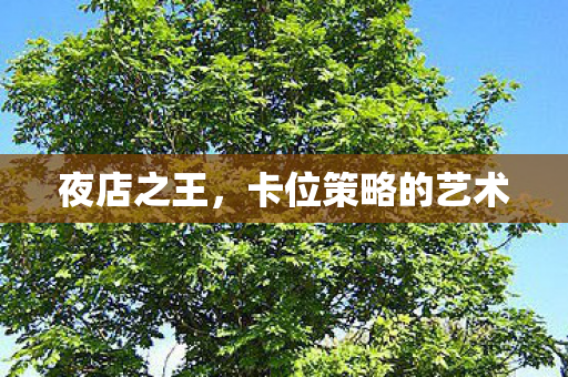 卡位策略的艺术图片