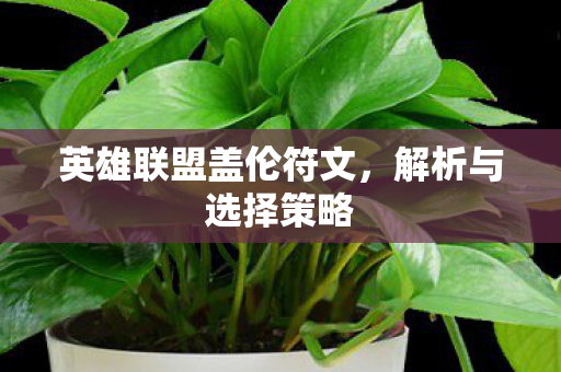 英雄联盟盖伦符文图片