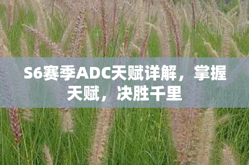 S6赛季ADC天赋详解图片
